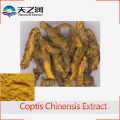 Natural Coptis Chinensis Extract Powder / Rhizoma Coptidis Berberine Hydrochloride 98% Berberine HCL